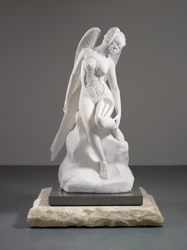 DamienHirstAnatomyof_771_0
