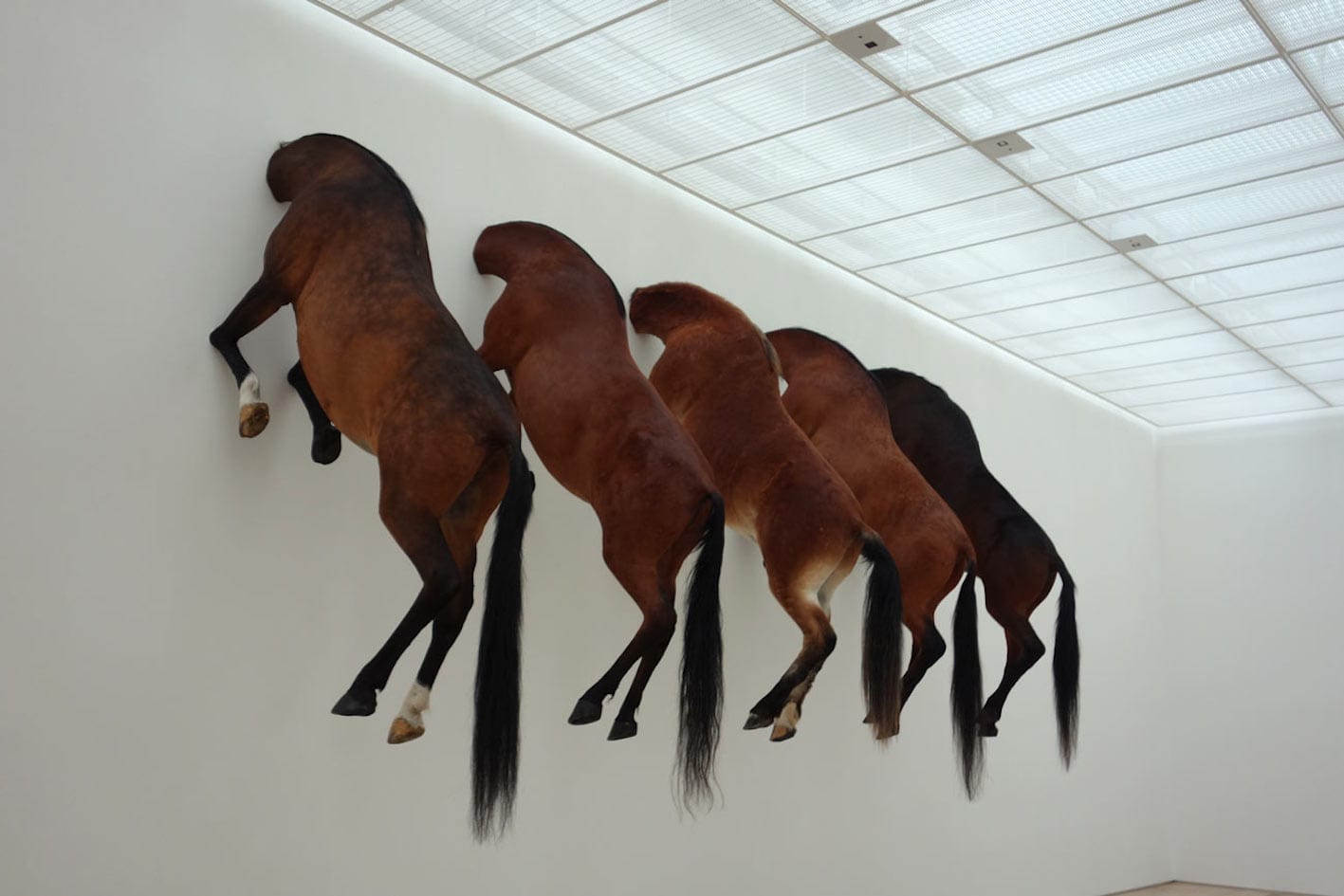 maurizio-cattelan-horse-antidote