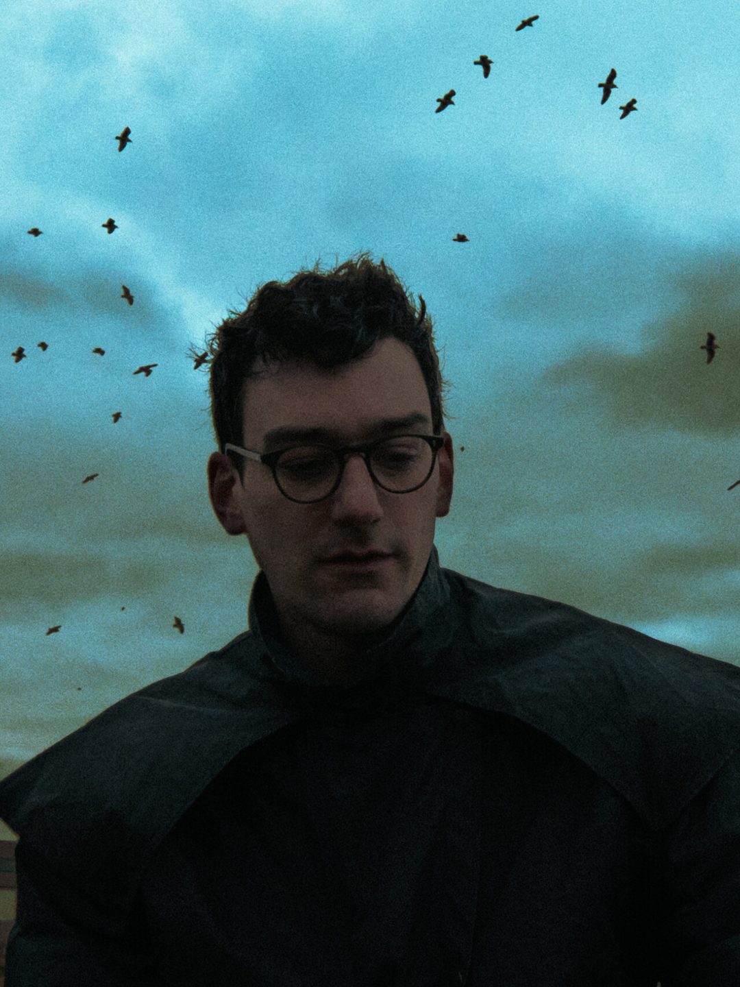 DLH_By Ronan Park (1)