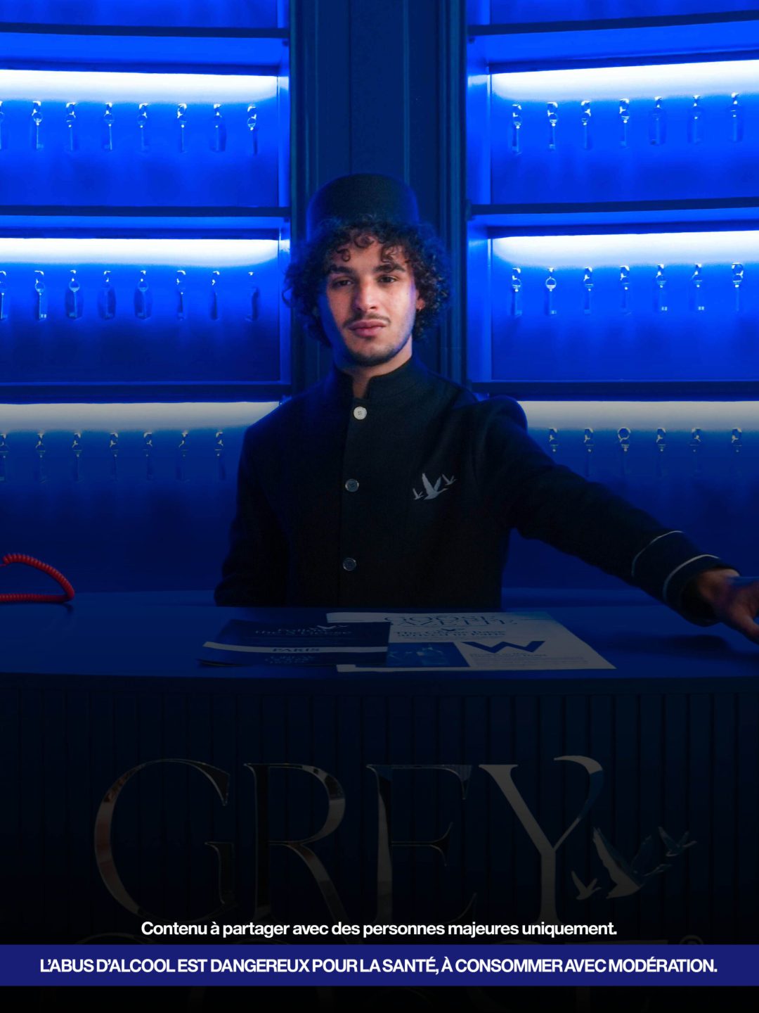 Grey goose_converted