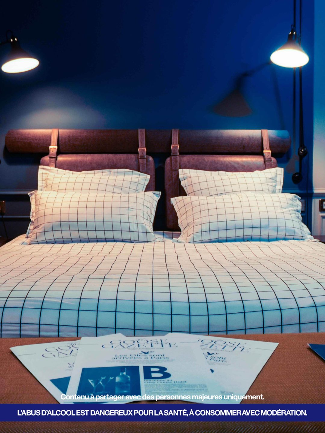 Grey goose_converted3