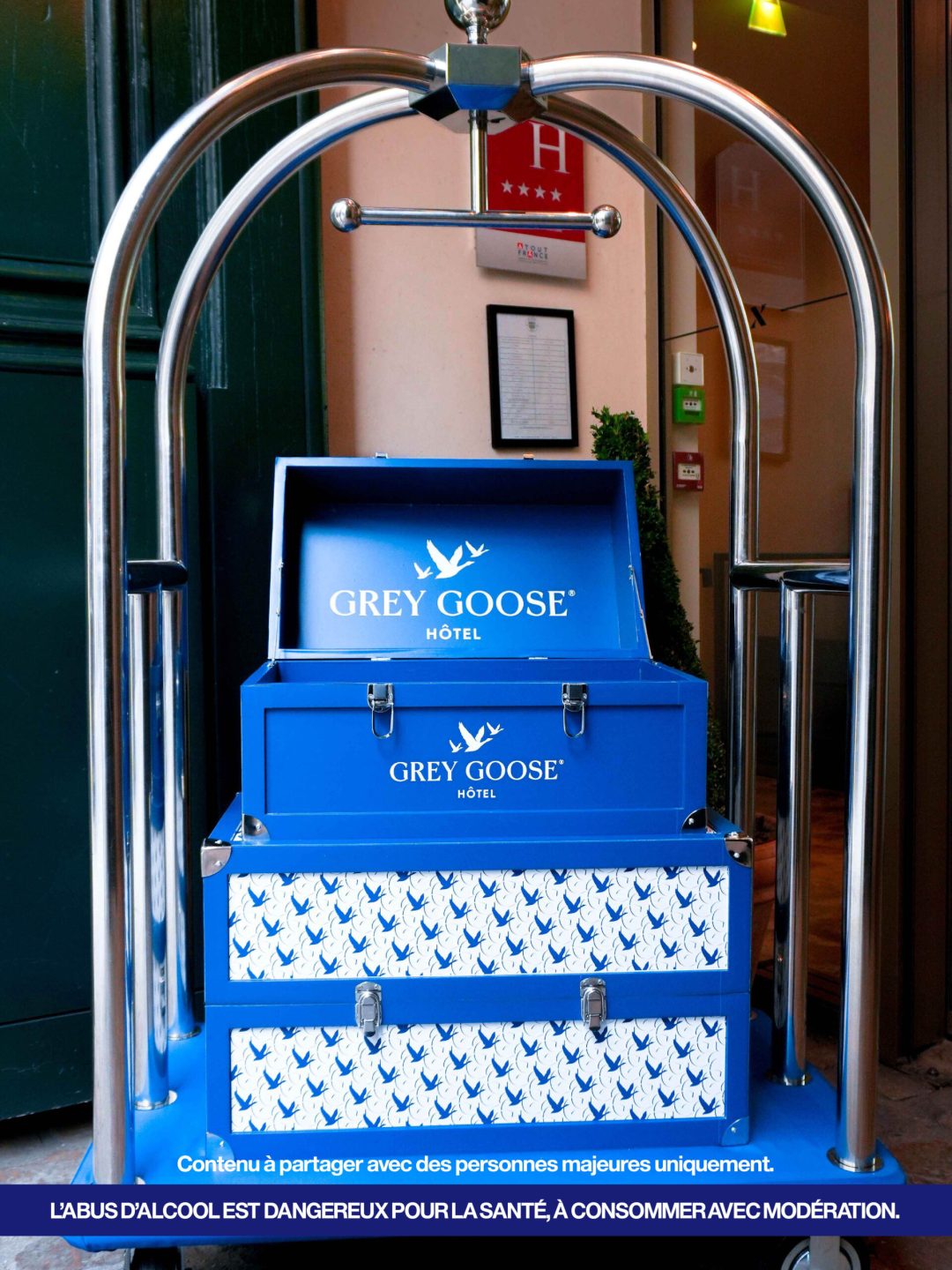 Grey goose_converted4