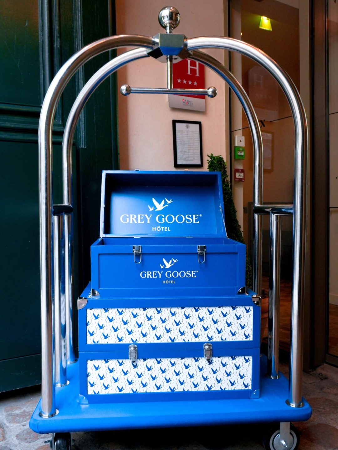 antidote-magazine-greygoose6