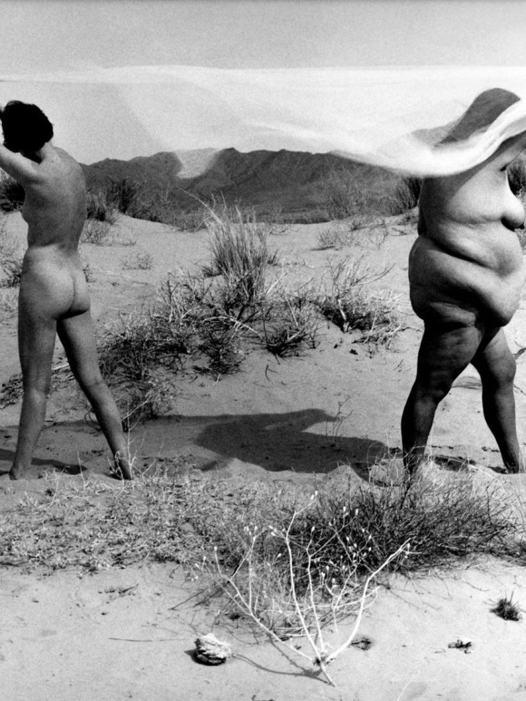 antidote-magazine-parisphoto6