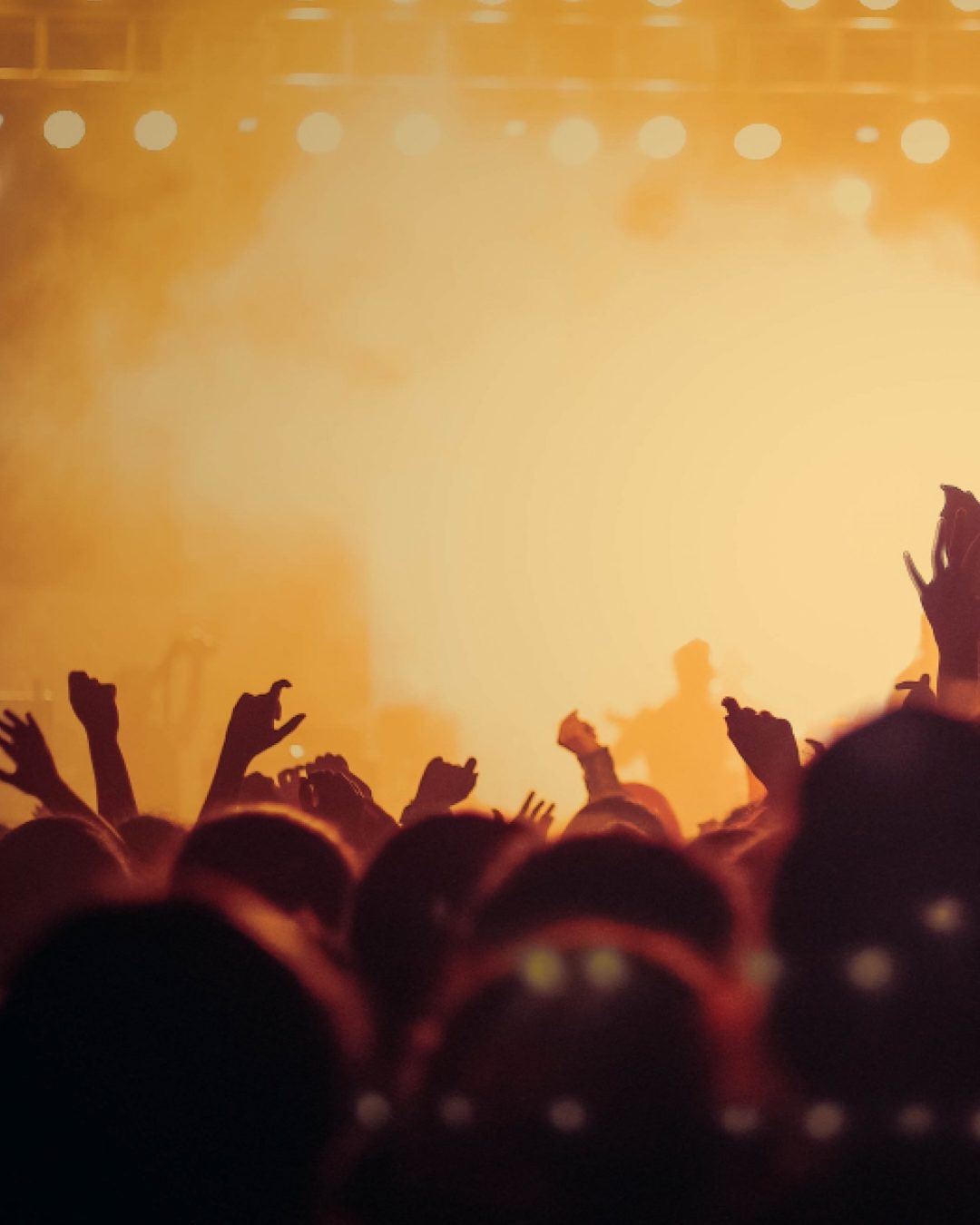 header-zalando-antidote